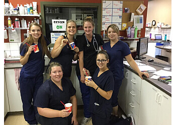 St Albert Cliniques Vétérinaires Tudor Glen Veterinary Hospital