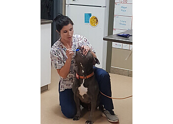 St Albert Cliniques Vétérinaires Tudor Glen Veterinary Hospital