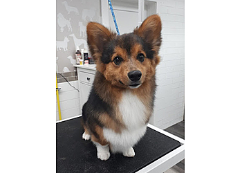 Red Deer Salons de Toilettage Pour Animaux De Compagnie Tall Tails Grooming