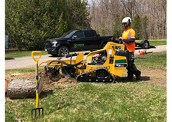 Pickering tree service Tandem Tree Service