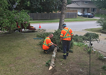 Tarzan Tree Removal - Barrie, ON Tree Services - On-Site Service Image