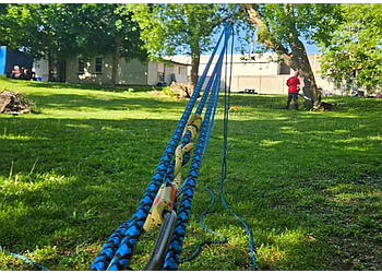 Barrie tree service Tarzan Tree Removal Limited