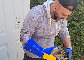 Tarzan Wildlife Inc Tarzan Wildlife Inc - Brampton, ON Élimination Des Animaux - Service Team Image
