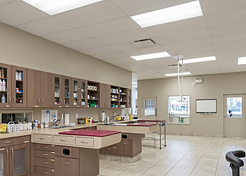 Taunton Road Animal Hospital - Oshawa, ON Veterinary Clinics - Medical Procedure Image