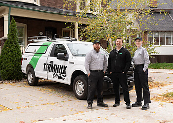 Shawinigan pest control Terminix image 1