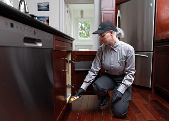 Fredericton pest control Terminix Canada Pest Control Fredericton