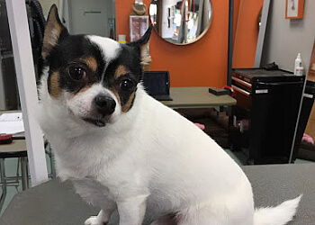 Burnaby pet grooming The Barker Barber Inc.