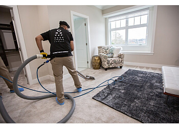 Surrey carpet cleaning The Blind Carpet Cleaner Ltd