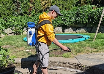 Langley pest control The Bugman Pest Control