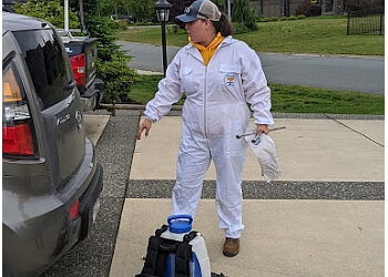Langley pest control The Bugman Pest Control