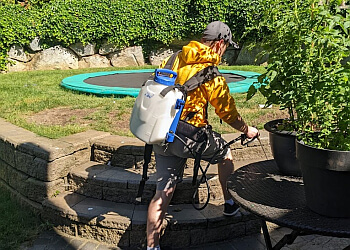 Chilliwack pest control The Bugman Pest Control Chilliwack