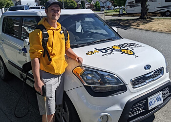 Chilliwack pest control The Bugman Pest Control Chilliwack