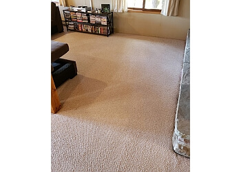 Huntsville carpet cleaning The Carpet Cleaner