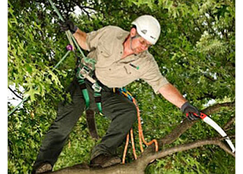 Orillia tree service The Davey Tree Expert