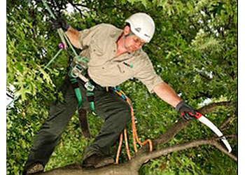 London tree service The Davey Tree Expert Company