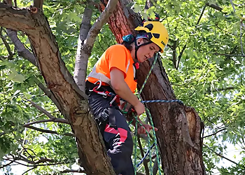 The Davey Tree Expert Company Pickering - Pickering, ON Tree Services - Field Work Image