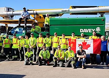 The Davey Tree Expert Company Vaughan - Vaughan, ON Services d'arboriculteur - Team Working Image