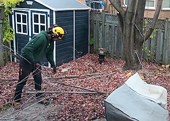 The Davey Tree Expert Company Vaughan - Vaughan, ON Services d'arboriculteur - Field Work Image