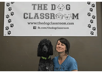  The Dog Classroom