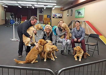 The Dog House & More - Thunder Bay, ON Dresseurs De Chiens - Dog Trainer Image
