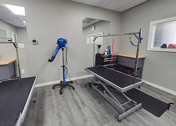 Oakville pet grooming The Dog House Spa