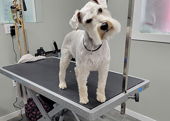 Oakville pet grooming The Dog House Spa