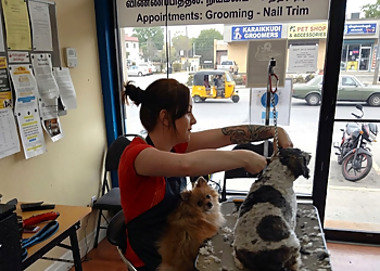 The Dogfather - Chilliwack, BC Pet Grooming - Service Image