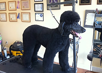 The Dogfather - Chilliwack, BC Pet Grooming - Professional Highlights