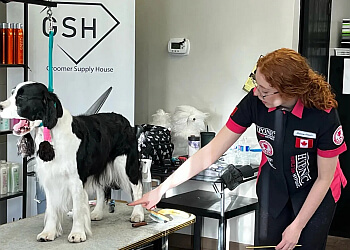 Chilliwack pet grooming The Foxy Hound