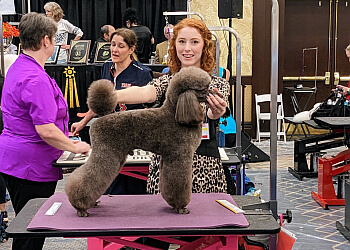 Chilliwack pet grooming The Foxy Hound