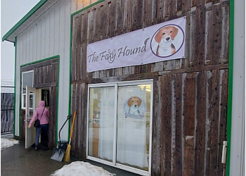 Chilliwack pet grooming The Foxy Hound