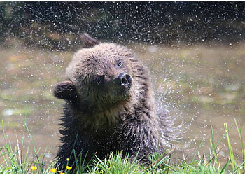 Langley places to see Greater Vancouver Zoo