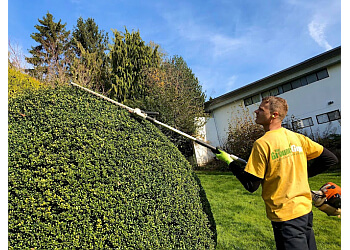 Abbotsford lawn care service The Grounds Guys of Abbotsford