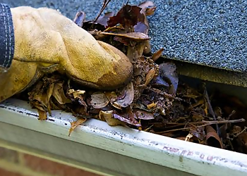 Barrie Nettoyeurs De Gouttières The Gutter Doctor