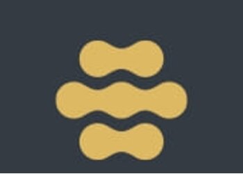 Stratford interior designer The Hive Design Co.