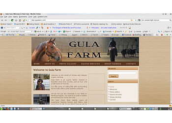 Orangeville web designer The Ian Scott Group