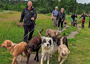 The Leash Team Inc. - Edmonton, AB Promeneurs De Chiens - Service Highlights