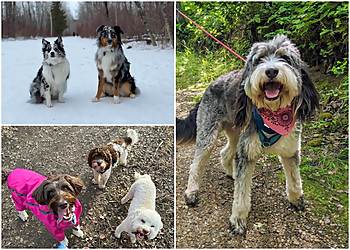 Edmonton Promeneurs De Chiens The Leash Team Inc.