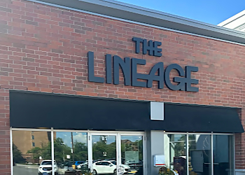 The Lineage The Lineage - Mississauga, ON Cours de yoga - Education Image