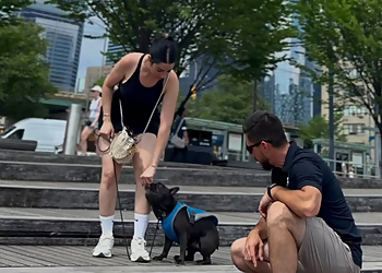 The Luxe Canine Club Canada - Orangeville, ON Dog Trainers - Dog Training Image