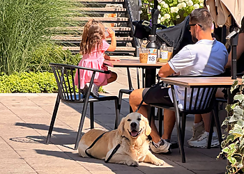 The Luxe Canine Club Canada - Orangeville, ON Dog Trainers - Dog Image