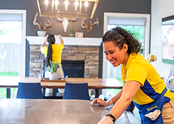 The Maids of Vancouver - Burnaby, BC House Cleaning Services - Field Work Image