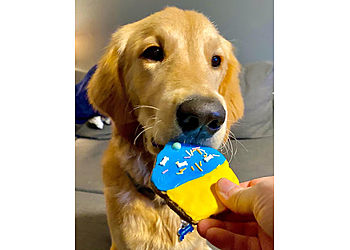 Kingston pet grooming The Mutt Hutt Spaw & Pet Centre Inc.