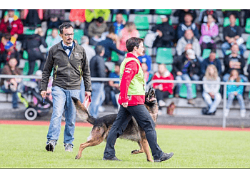 Victoria dog trainer Naughty Dogge