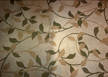 Delta carpet cleaning The One Carpet & Upholstery Cleaning