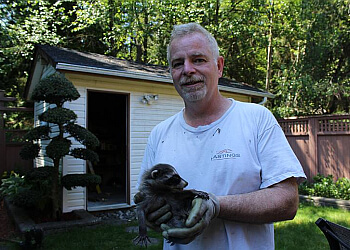 North Vancouver pest control The Pest Maven