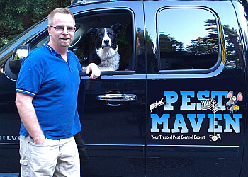 North Vancouver pest control The Pest Maven image 1