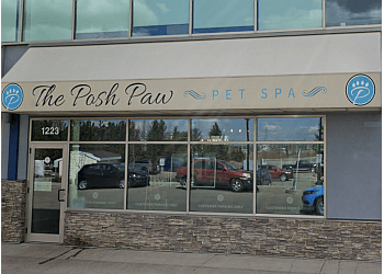 Edmonton pet grooming The Posh Paw Pet Spa image 1