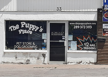 Ajax
Salons de Toilettage Pour Animaux De Compagnie
The Puppy's Place image 1