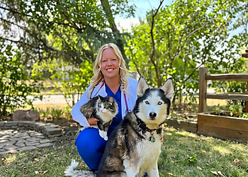 The Rapids Veterinary Hospital - Sarnia, ON Veterinary Clinics - Doctor With Patient Image